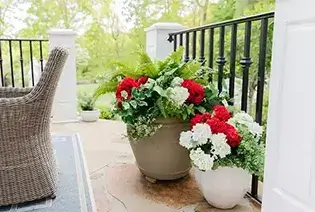 Flowers Arrangements