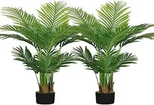 Trees And Palms