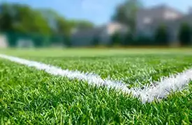 Sport and Athletic